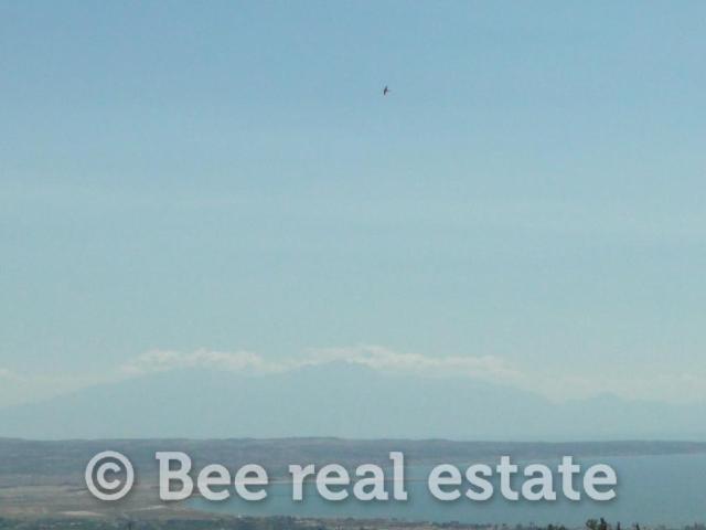 231041008-2147483684