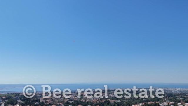 231041008-11484