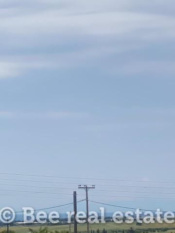 231001176-263