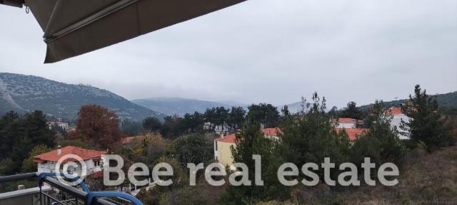 Μεζονέτα 264 τ.μ. · φωτογραφία 1