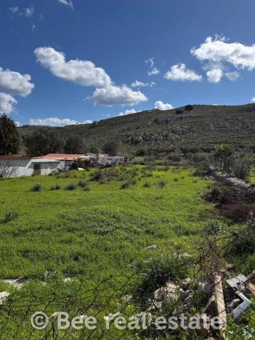 Αγροτεμάχιο 905 τ.μ. · φωτογραφία 1