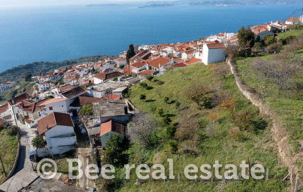 Οικόπεδο 1630 τ.μ. · φωτογραφία 1