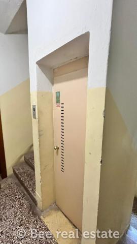 231041008-11538
