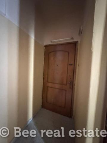 231001037-197