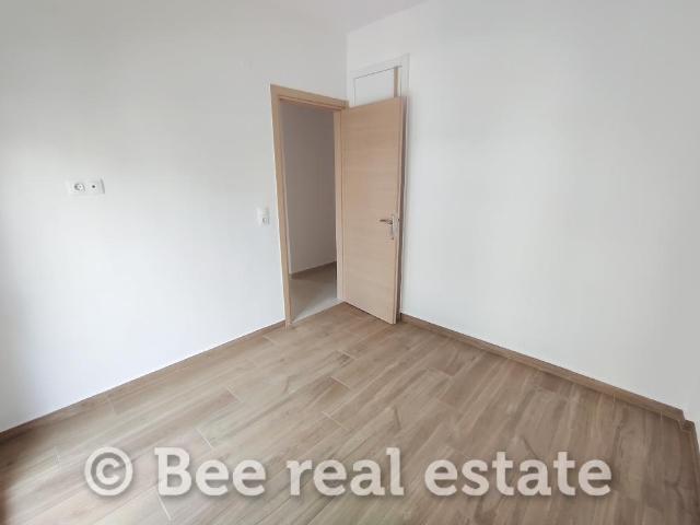 321168-204