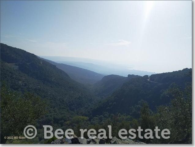 261002-819