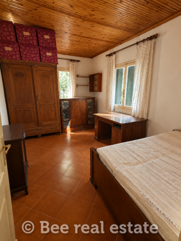 291005-1981