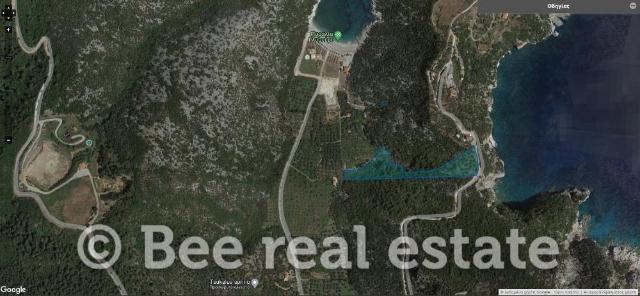 Αγροτεμάχιο 7148 τ.μ. · φωτογραφία 1