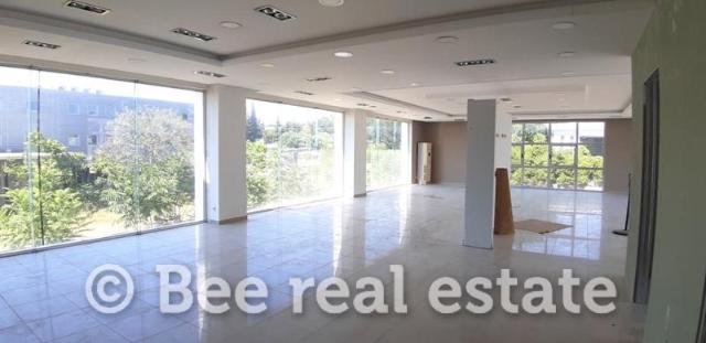231071036-1479